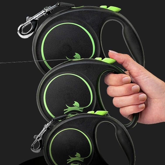Normal Specification Of Leash For Banded Dogs