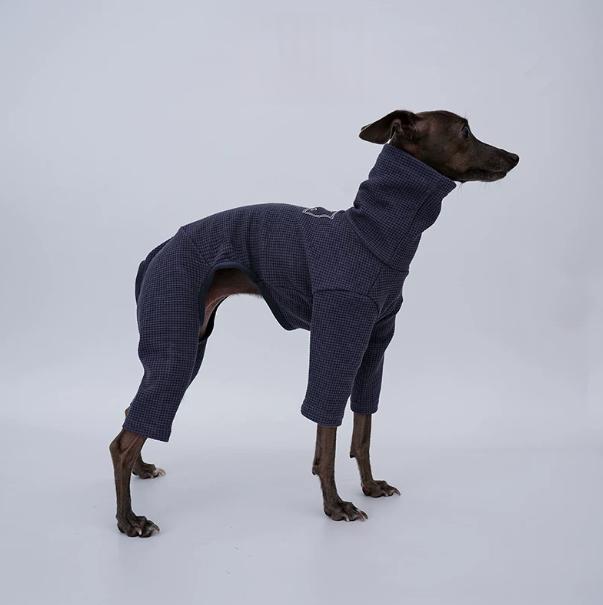 Italian Greyhound Whippet And Terrier Soft Base-Layer Four-Piece Outfit - Italian Greyhound Whippet And Terrier Soft Base-Layer Four-Piece Outfit Dark Blue M