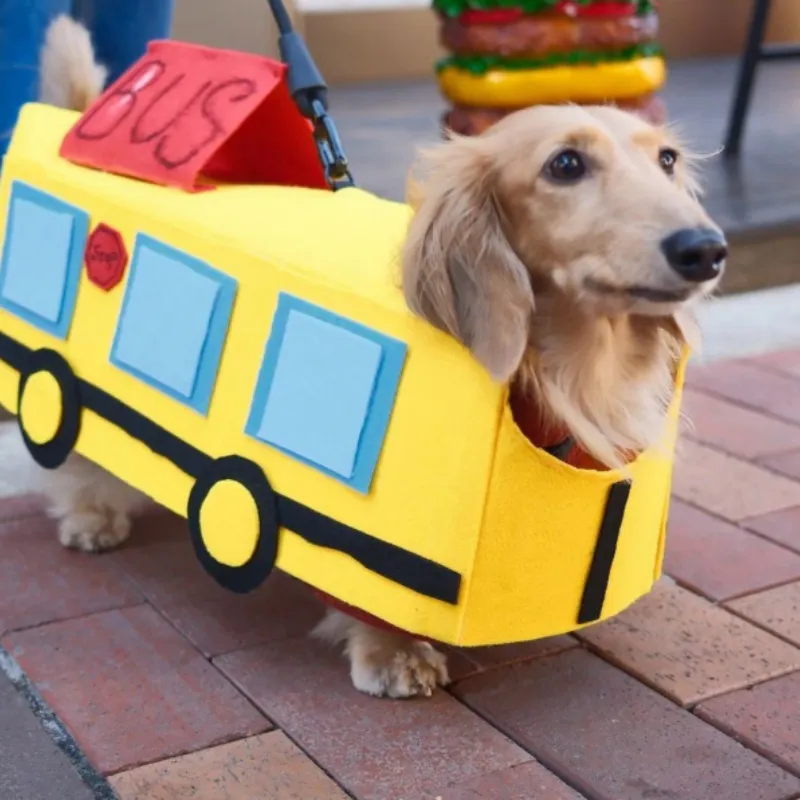 Baby Bus Pet Clothes