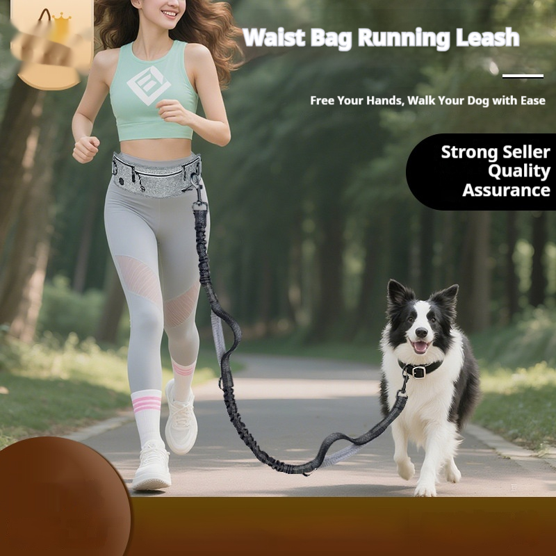Reflective Multifunctional Retractable Pet Leash