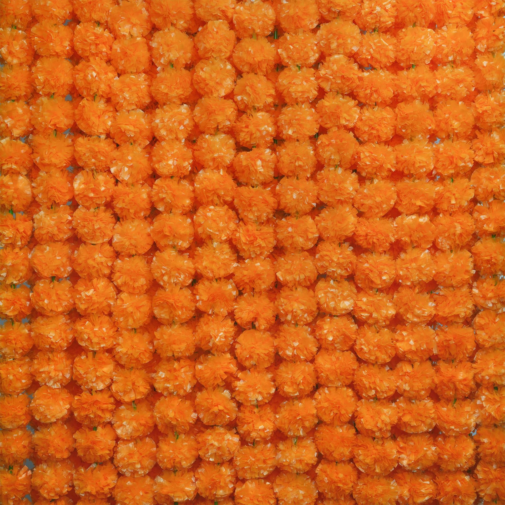 Day Of The Dead Halloween Marigold Wreath Garland everydayshopit media