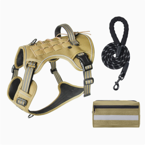 Outdoor Training Reflective Pet Leash