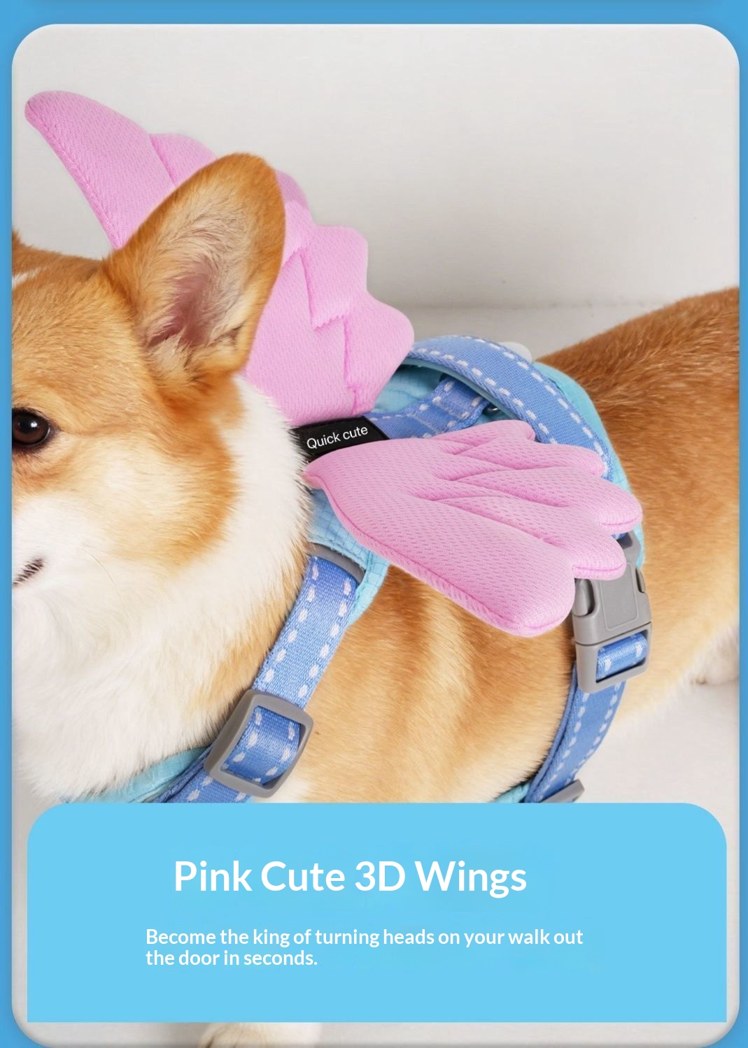 Universal Outdoor Dog Harness With 3D Angel Wings And Leash detail photo 4