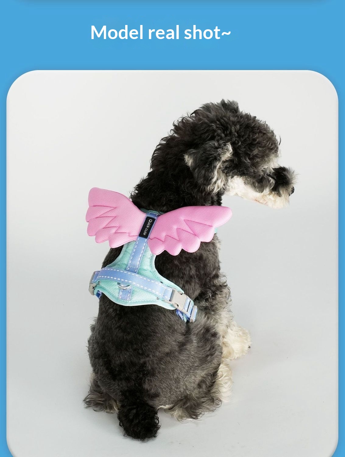 Universal Outdoor Dog Harness With 3D Angel Wings And Leash detail photo 6