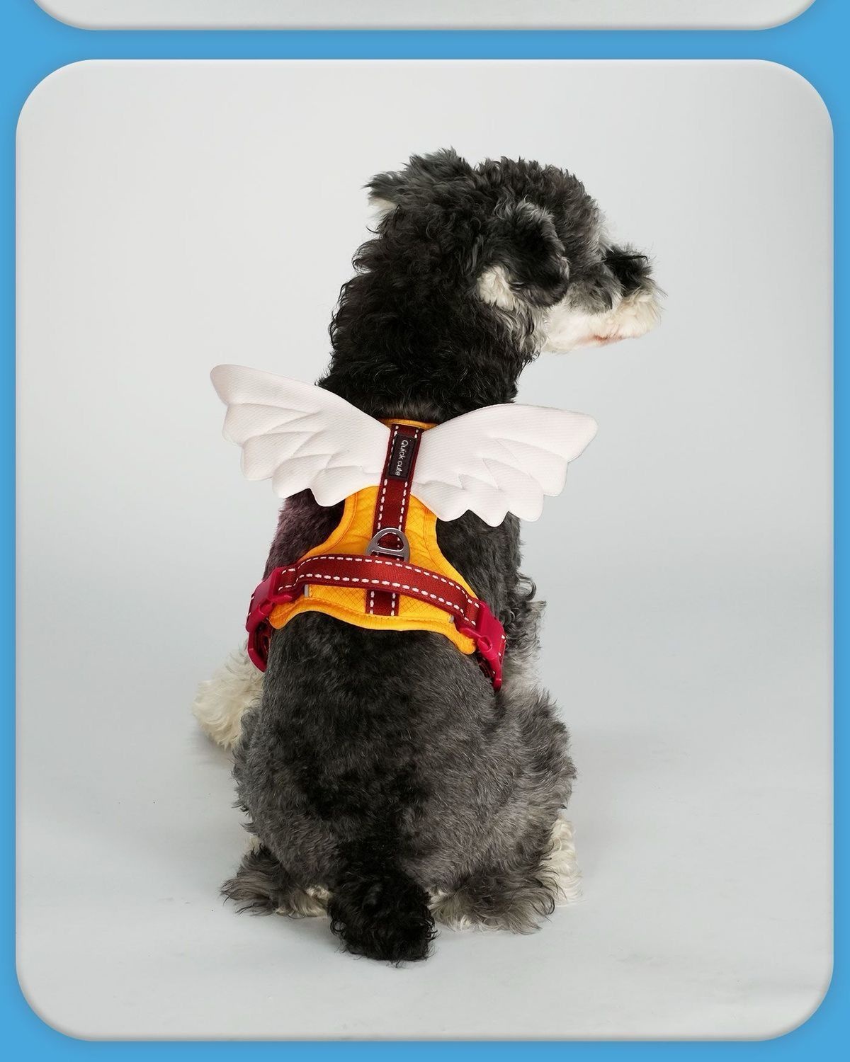 Universal Outdoor Dog Harness With 3D Angel Wings And Leash detail photo 9