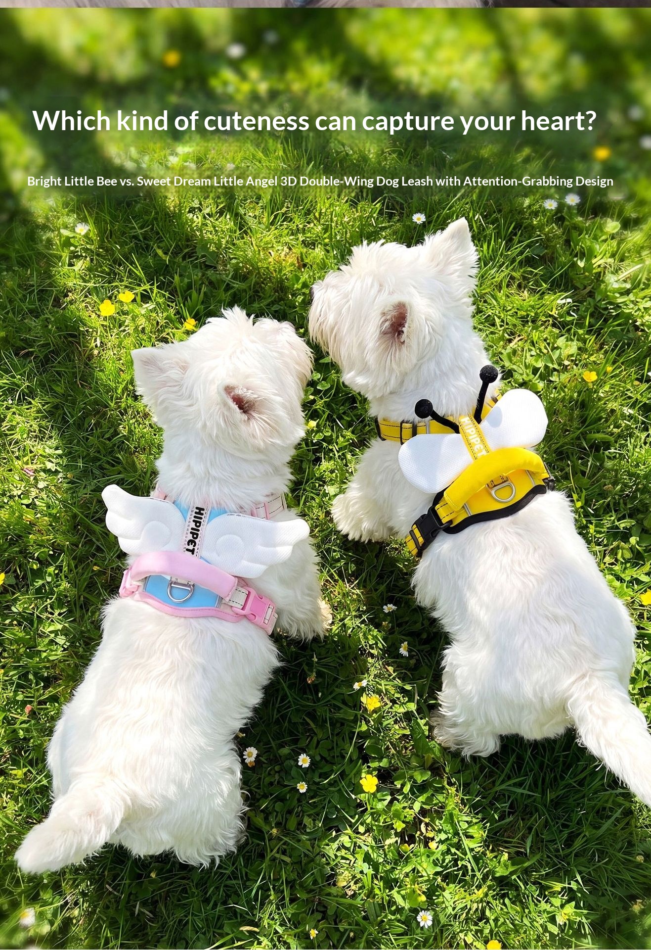 Angel Wings Dog Leash Outdoor Vest-Style Harness detail photo 8