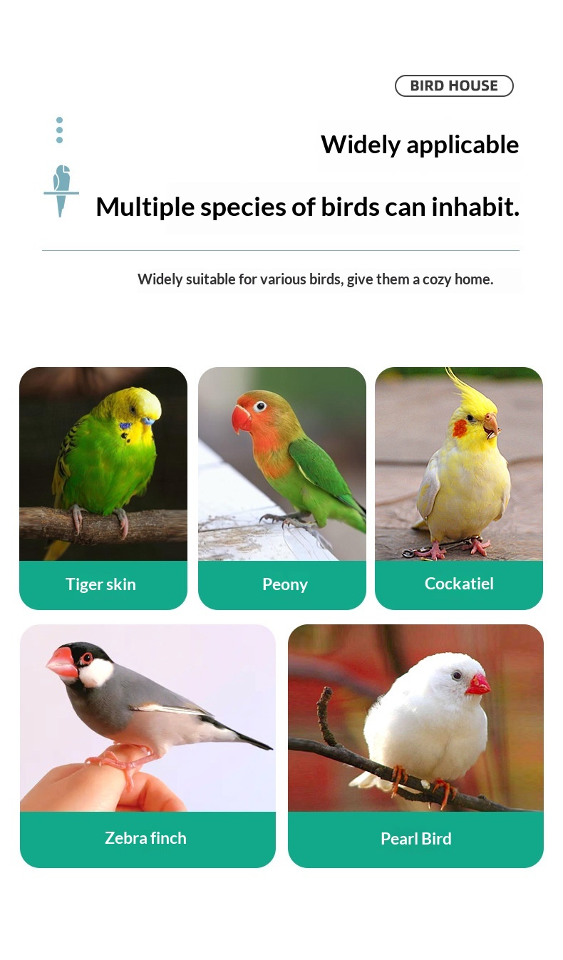 Heightened Transparent Birdcage Parrot Display Cage detail photo 15