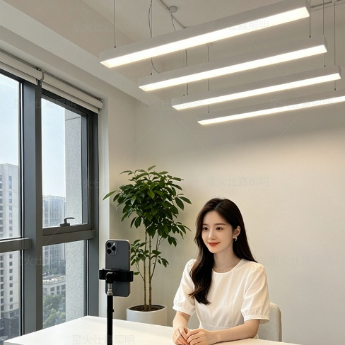LED Strip Lights Specifically Designed For Office Suspended Ceilings