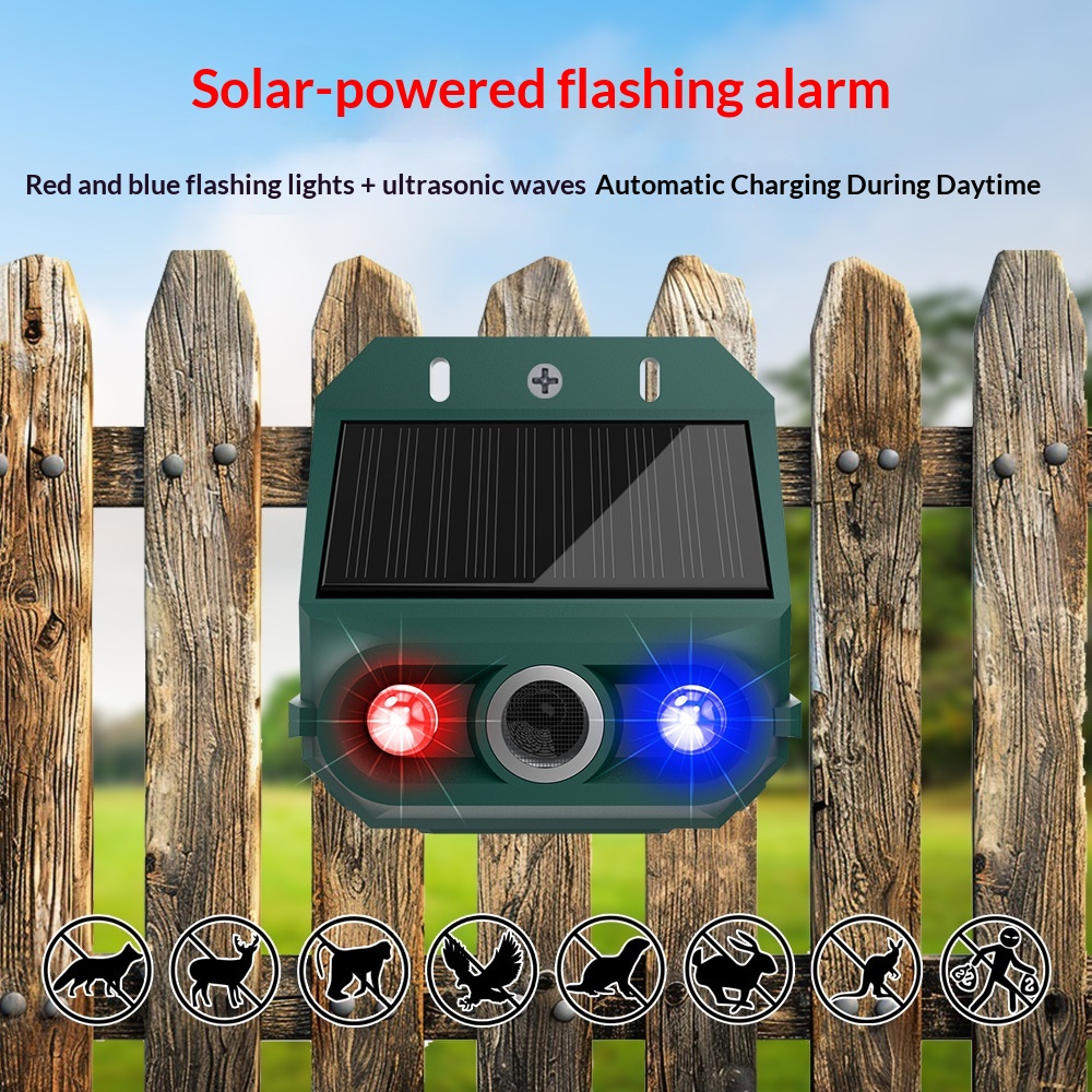 https://oss-cf.cjdropshipping.com/product/2026/09/04/04/7eb01d81-a1a2-4eb0-b22a-e542e2c1e233_trans.jpeg