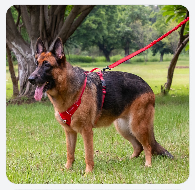 H-shaped Breathable Dog Harness detail photo 4