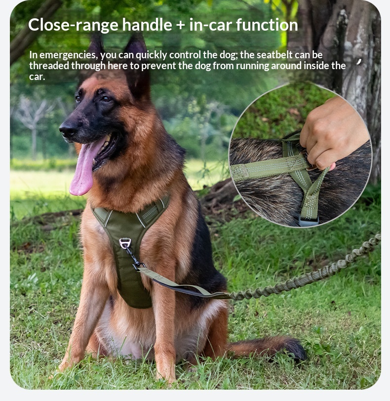 H-shaped Breathable Dog Harness detail photo 6