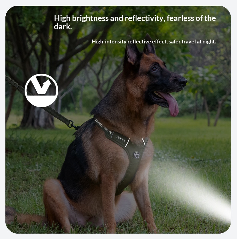 H-shaped Breathable Dog Harness detail photo 10