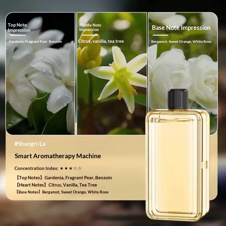 Room Living Room Purifying Air Humidifying Lasting Diffuse Spray 4