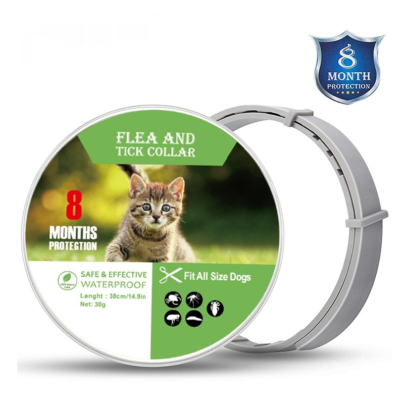 https://oss-cf.cjdropshipping.com/product/2026/09/05/01/2d1fe486-6324-496f-bd3f-7a1a8ba12b84_fine.jpeg
