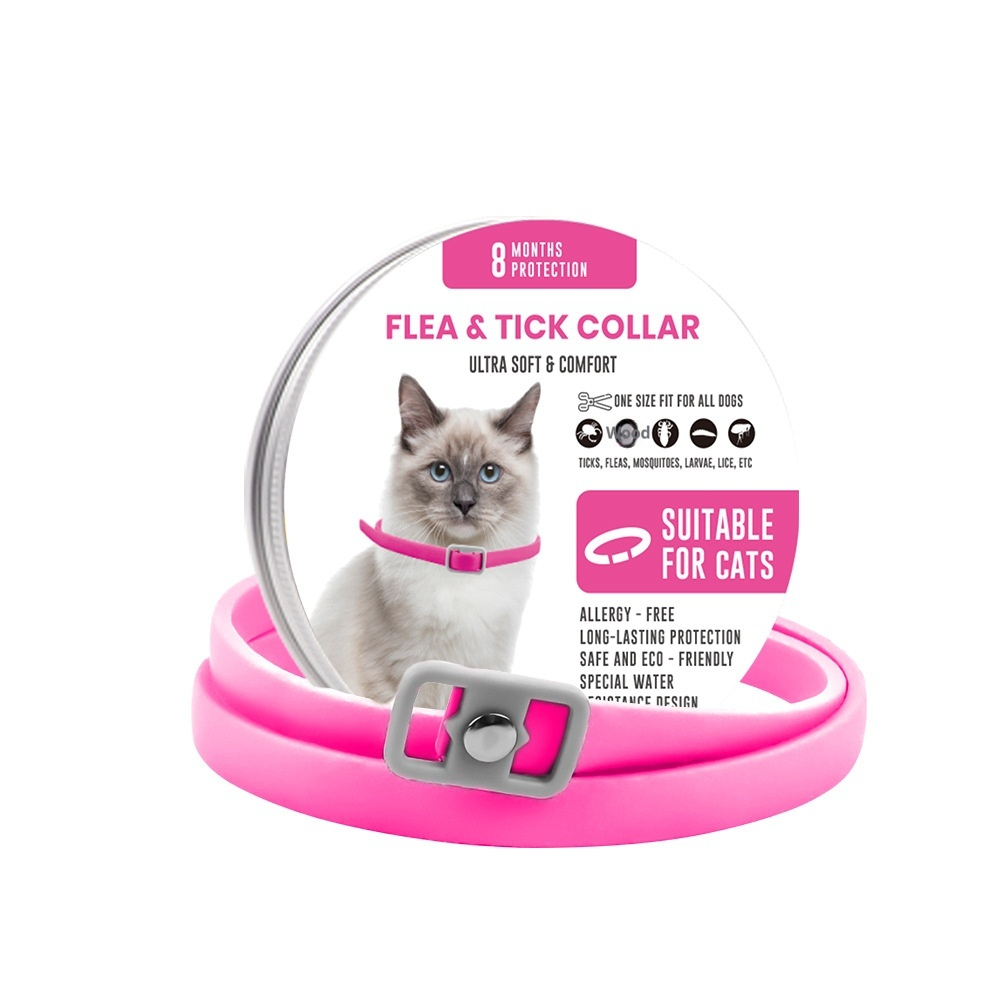 https://oss-cf.cjdropshipping.com/product/2026/09/05/01/391f42ec-dc10-461a-b300-e2bf8c723fbf_fine.jpeg