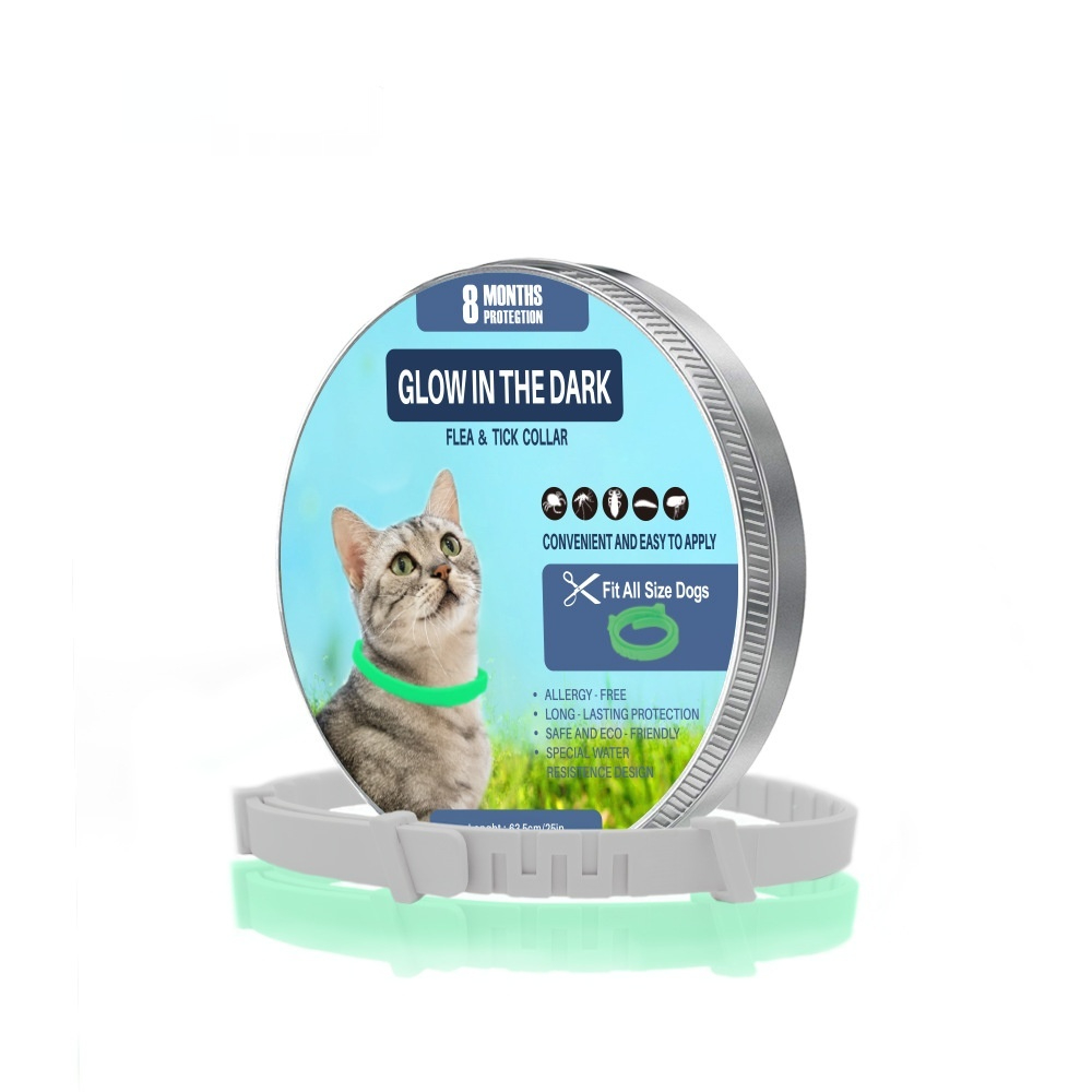https://oss-cf.cjdropshipping.com/product/2026/09/05/01/60d068b0-8da0-413b-8435-acd02828e3e4_fine.jpeg
