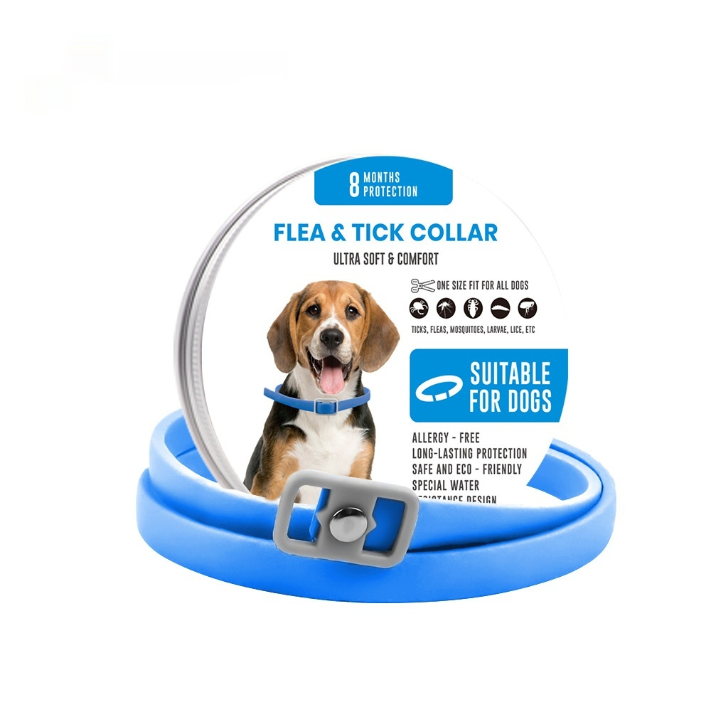 https://oss-cf.cjdropshipping.com/product/2026/09/05/01/65c99c34-4be3-437e-8dfc-edee82875e5d_fine.jpeg