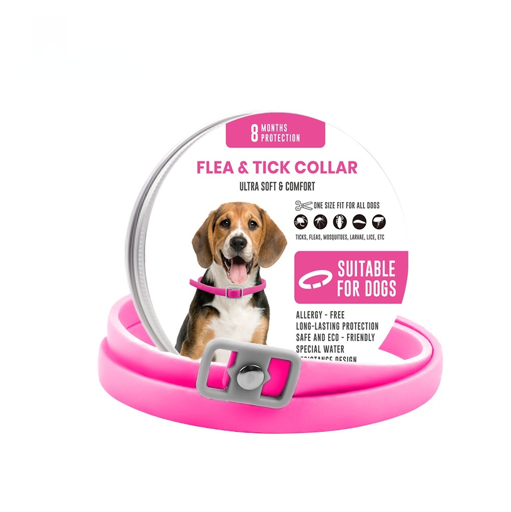 https://oss-cf.cjdropshipping.com/product/2026/09/05/01/a5a39ace-5b09-4ed3-b72e-a6aea09557a3_fine.jpeg