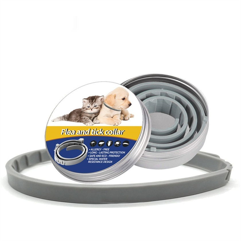 https://oss-cf.cjdropshipping.com/product/2026/09/05/01/d8ba13c0-eb79-43d0-baf1-f22f491e6572_fine.jpeg