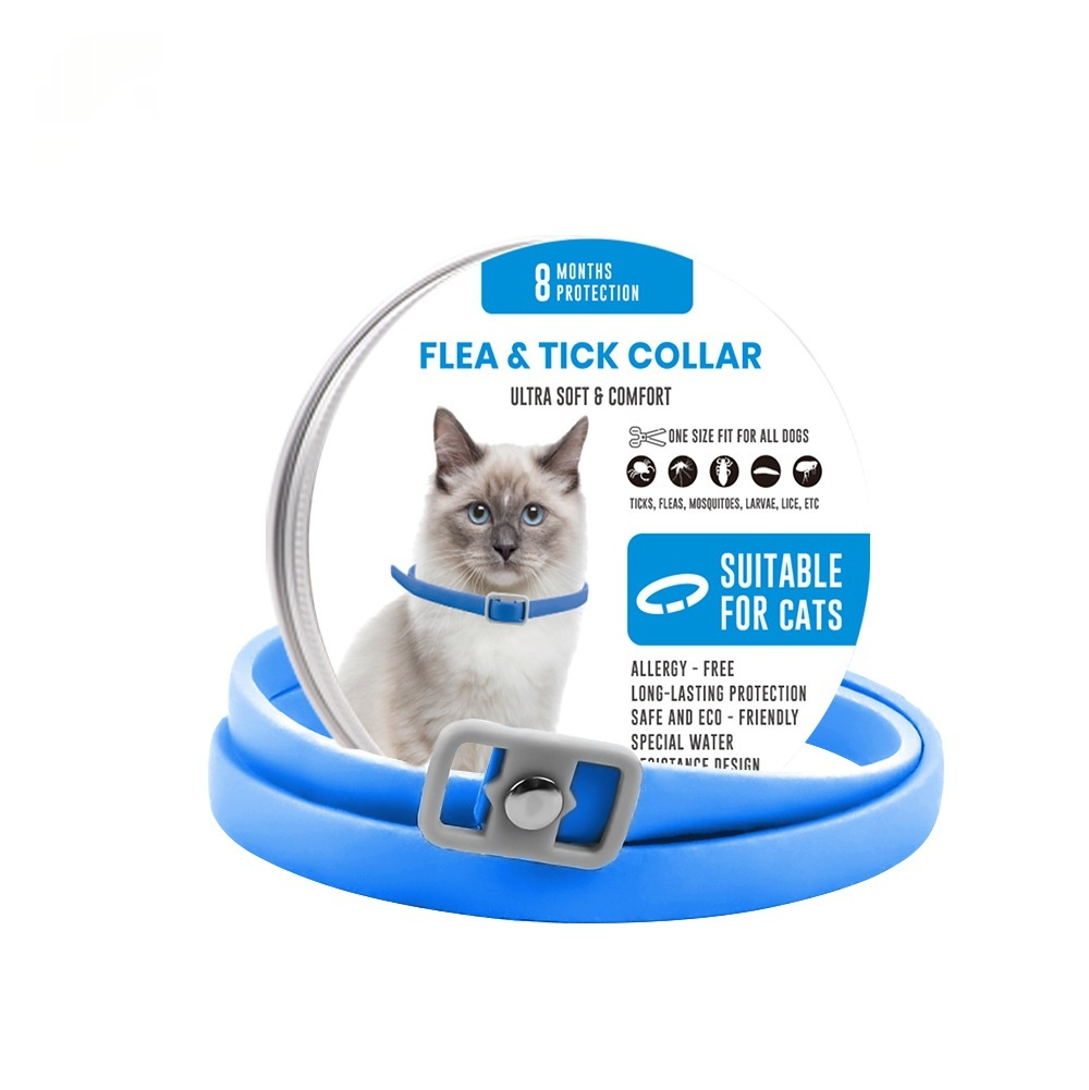 https://oss-cf.cjdropshipping.com/product/2026/09/05/01/ee3192ad-2053-4235-b07d-5491041e722c_fine.jpeg