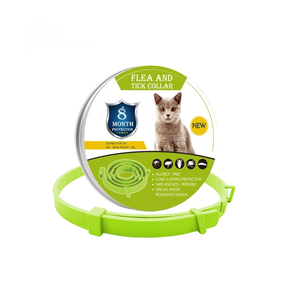 https://oss-cf.cjdropshipping.com/product/2026/09/05/01/ef52ca4a-d2ff-4c4e-b96f-cef604a4b02e_fine.jpeg