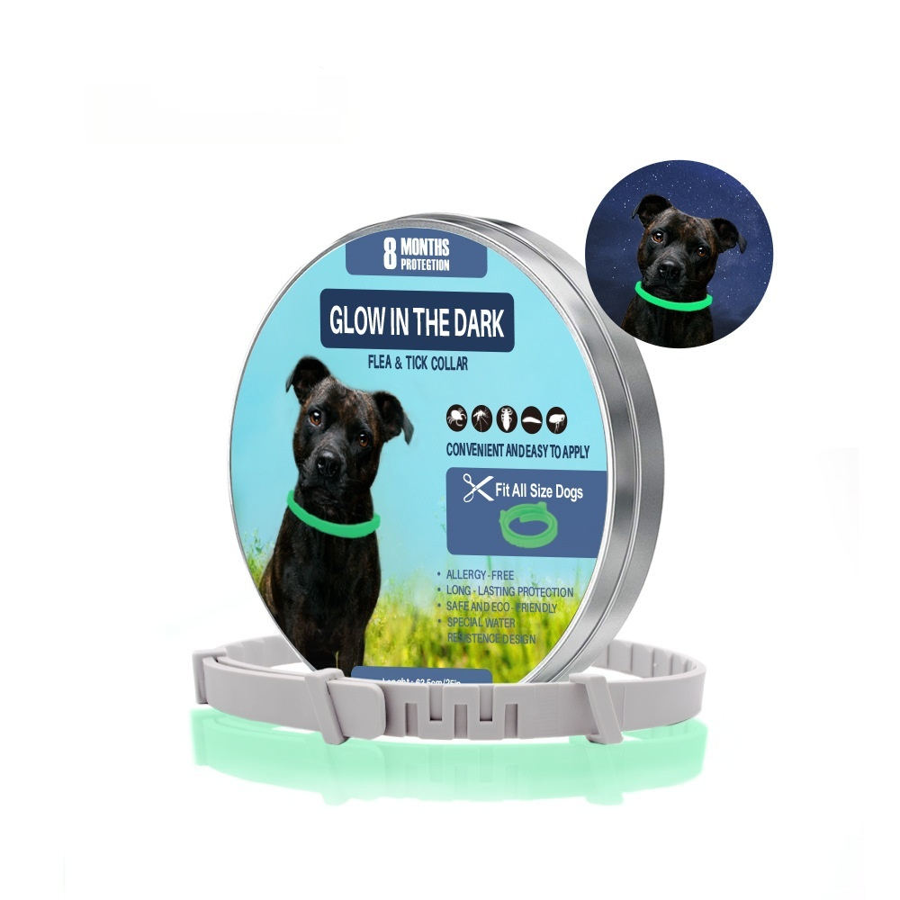 https://oss-cf.cjdropshipping.com/product/2026/09/05/01/fd081400-0781-4def-ab8d-ca1802dade8e_fine.jpeg