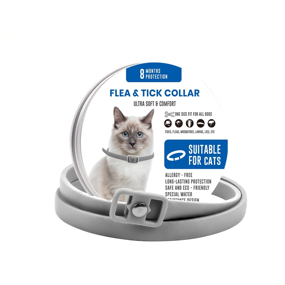 https://oss-cf.cjdropshipping.com/product/2026/09/05/01/ffd98661-97b1-41d2-8465-cc4dde247862_fine.jpeg