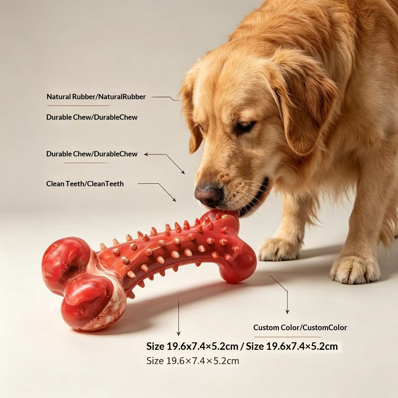 Chewing Toothbrush ToySimulated Dog Bone For Large detail photo 13