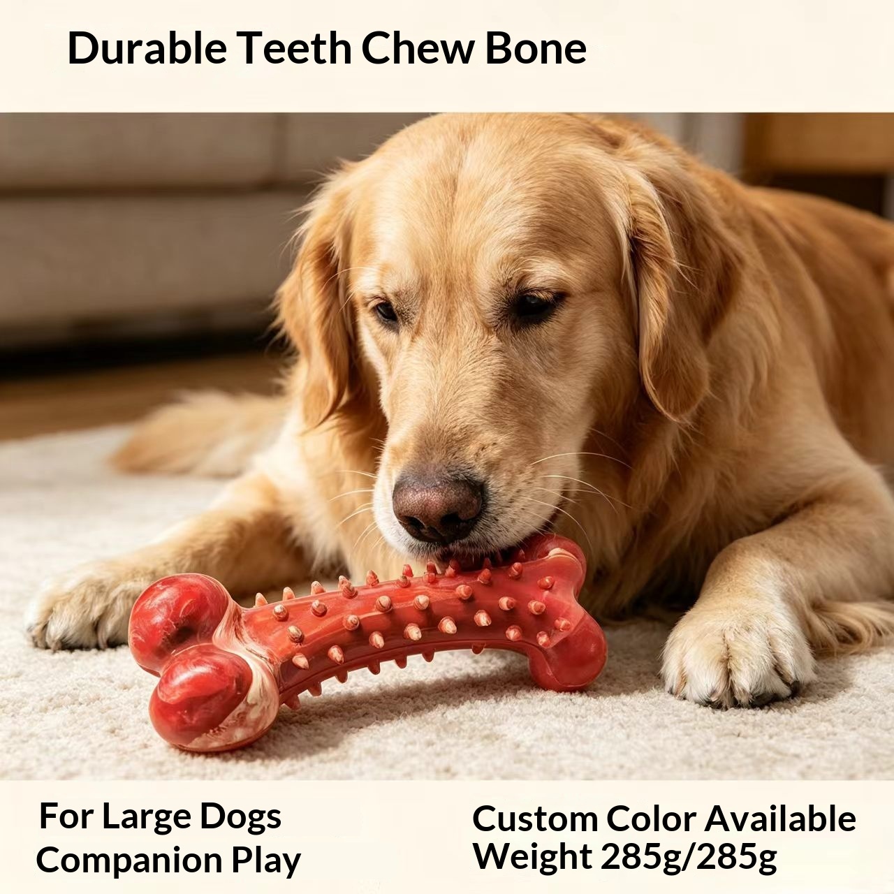 Chewing Toothbrush ToySimulated Dog Bone For Large detail photo 2