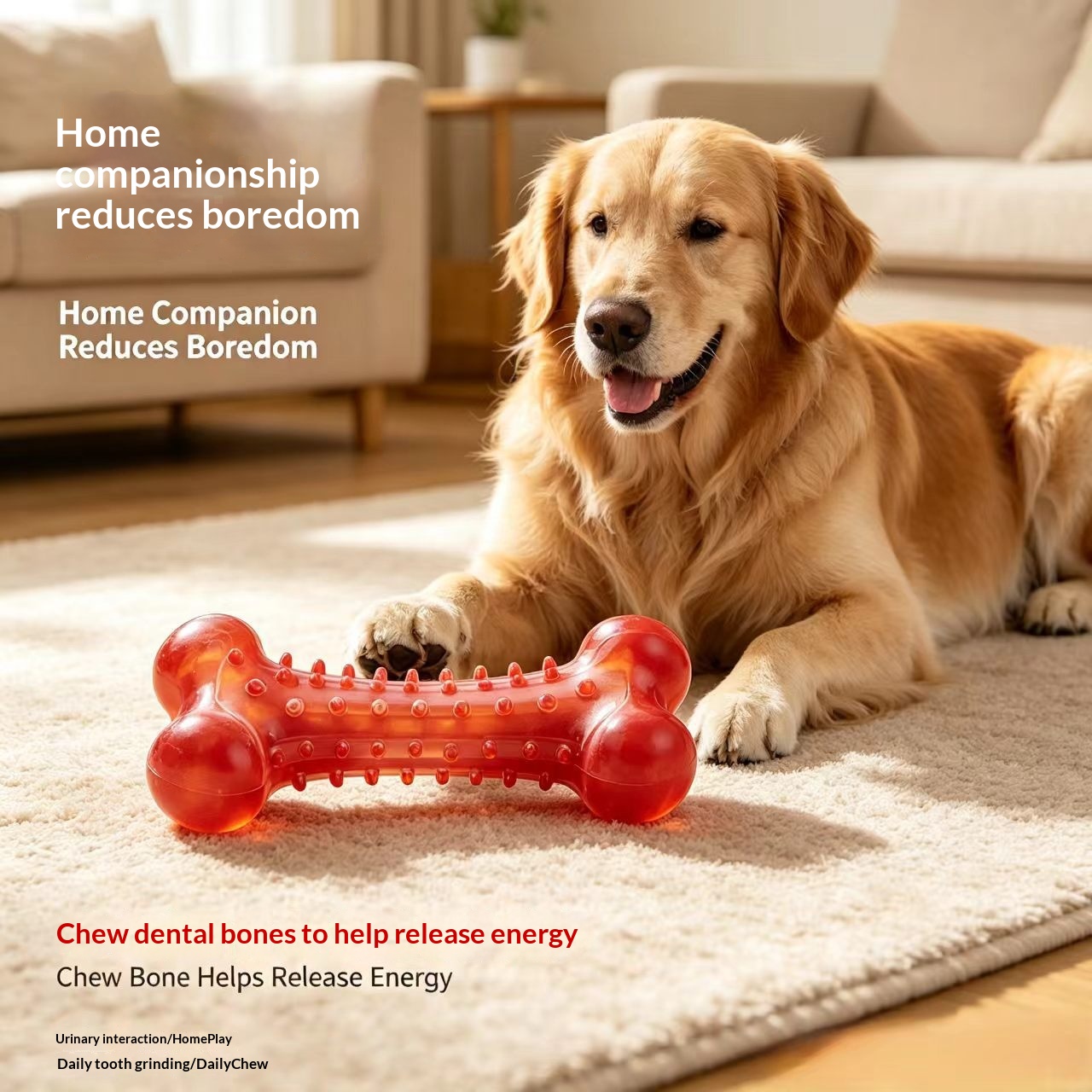 Chewing Toothbrush ToySimulated Dog Bone For Large detail photo 10