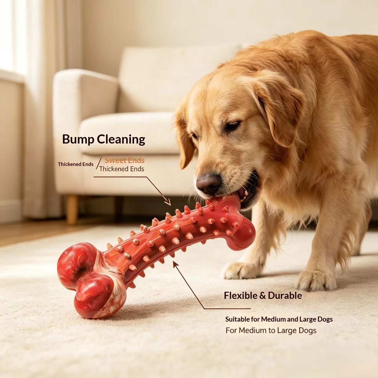 Chewing Toothbrush ToySimulated Dog Bone For Large detail photo 12