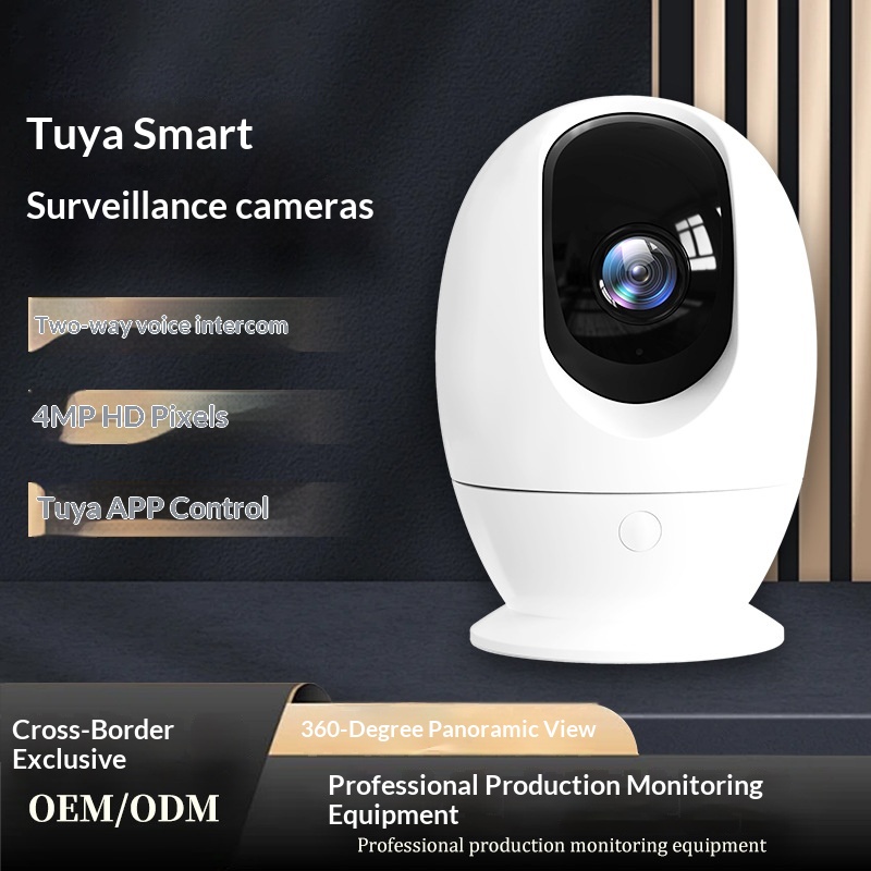 Graffiti 360-degree Panoramic Surveillance Camera
