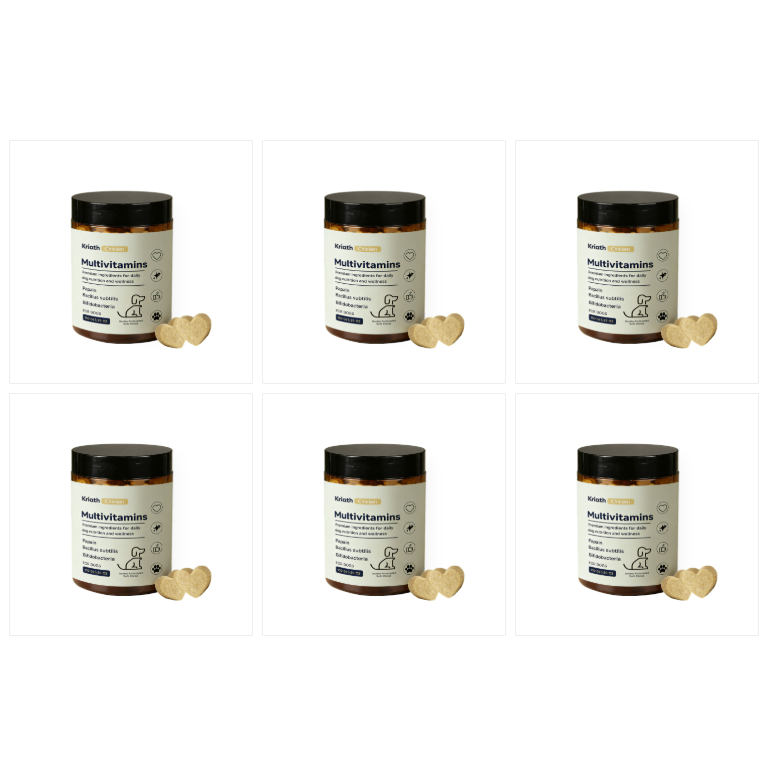 Dog Multivitamin Chewable Tablets - Dog Multivitamin Chewable Tablets 150g 6 bottle