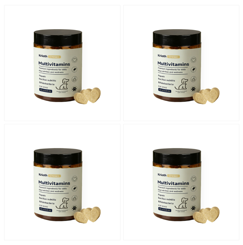 Dog Multivitamin Chewable Tablets - Dog Multivitamin Chewable Tablets 150g 4 bottle