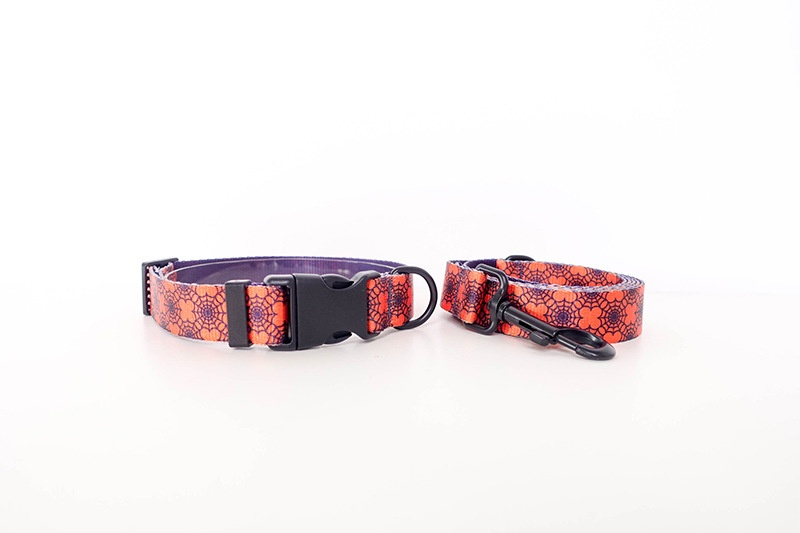 Comfortable Nylon-imitation Pet Dog Collar And Leash detail photo 2