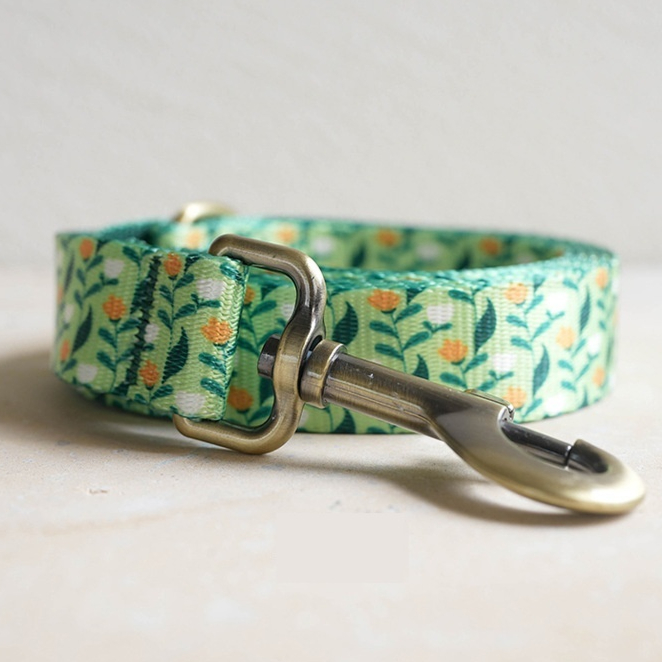 Nylon-like Webbing Pet Leash