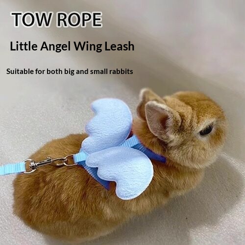 Small Bee Non-tightening Cat Harness For British Shorthair detail photo 2