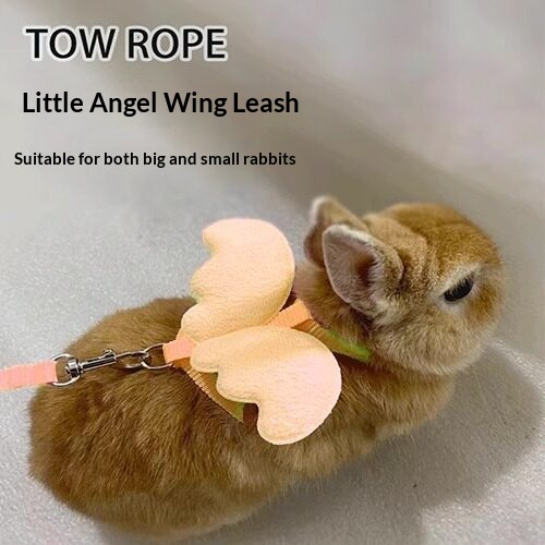 Small Bee Non-tightening Cat Harness For British Shorthair detail photo 3