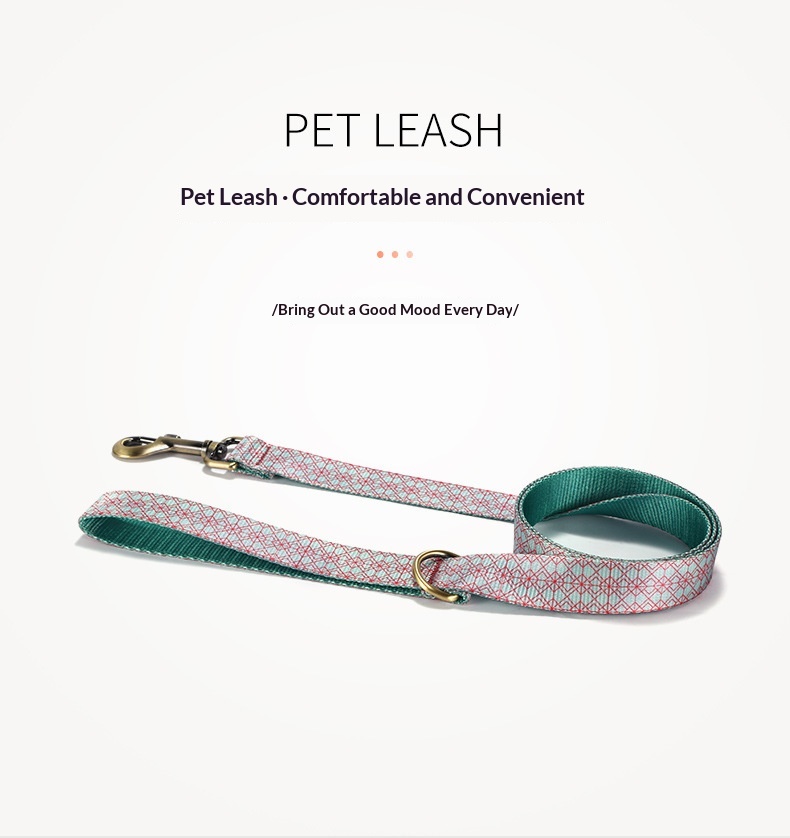 Medium To Large Dog Training Leash detail photo 2