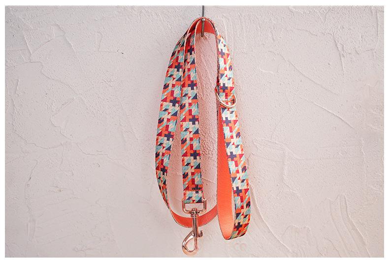 Nylon Pet Collar And Leash Set detail photo 1