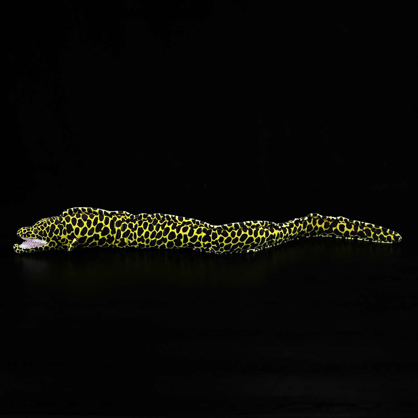 Bean Naked-breasted Eel Plush Toy
