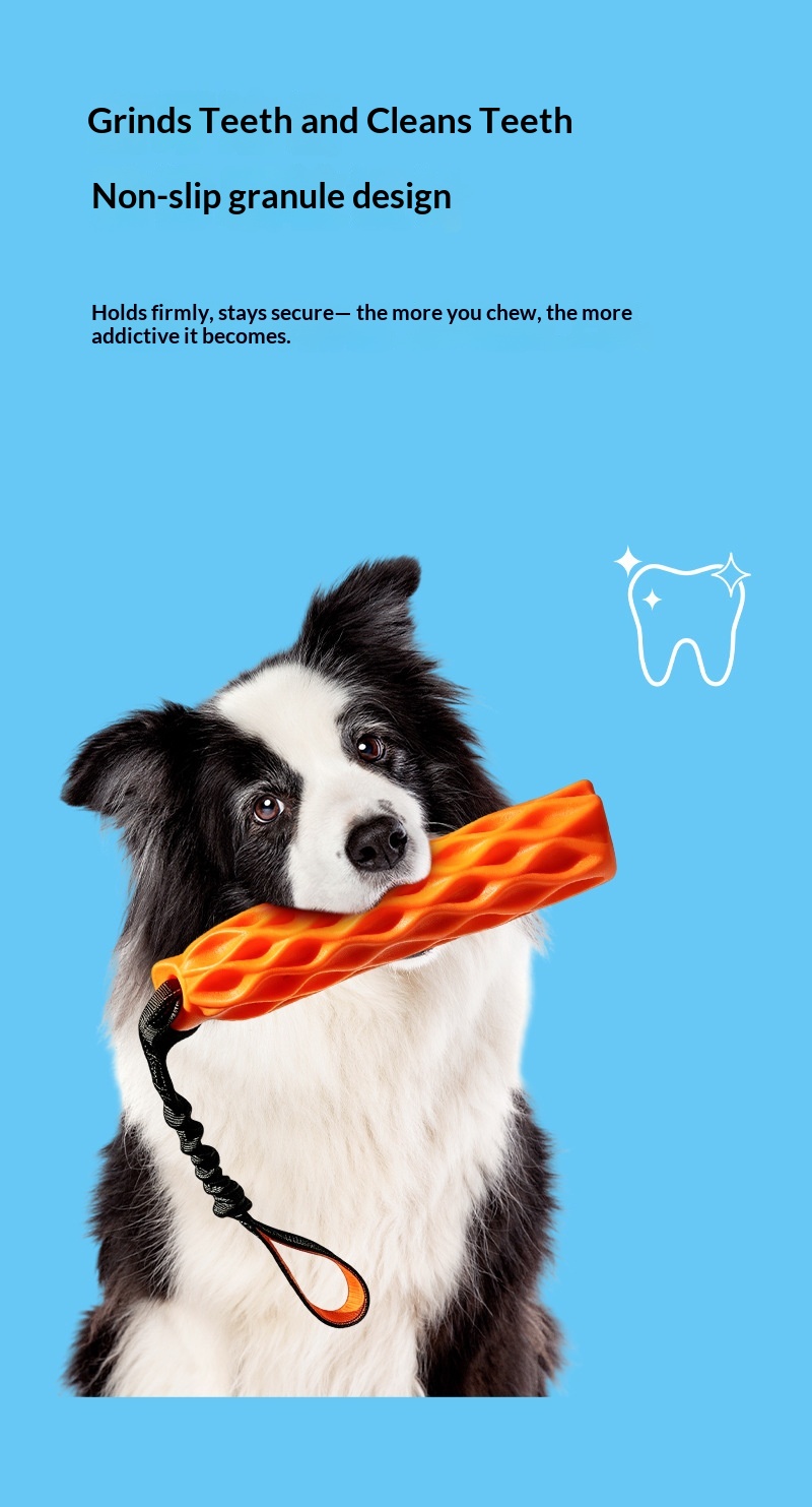 Rubber TPR Outdoor Chew Toy For Large And Small Dogs Interactive Tug-and-squeak Chew Stick detail photo 4