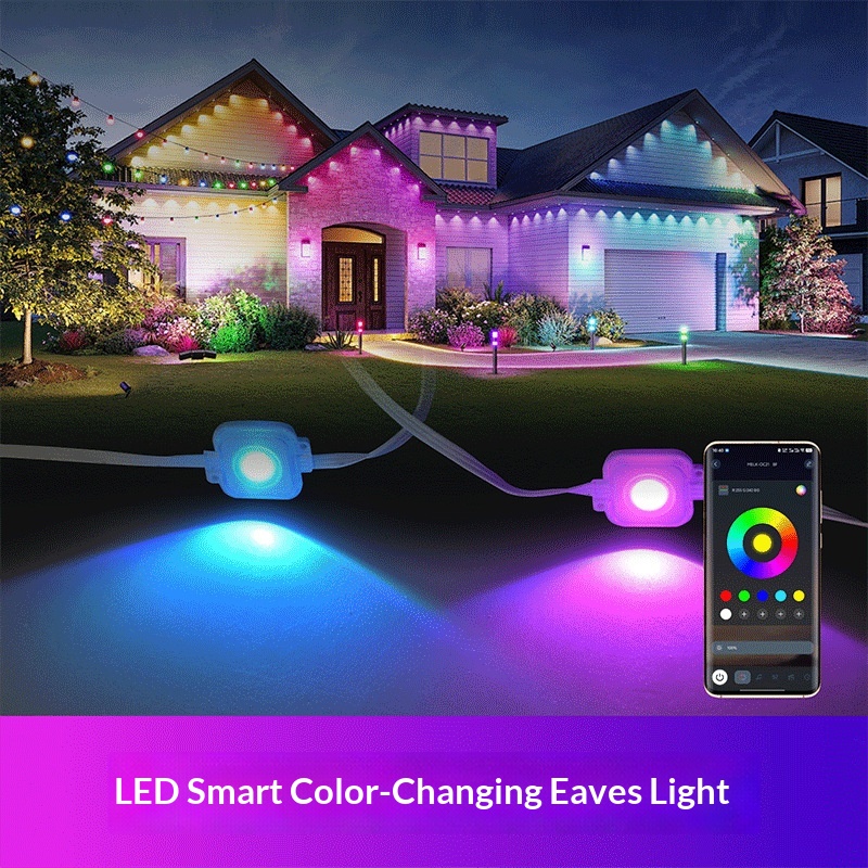 Colorful Atmosphere Led Small Light RGB Garden Lamp Smart Eaves Yard Light 30M60LED Lamp Spacing