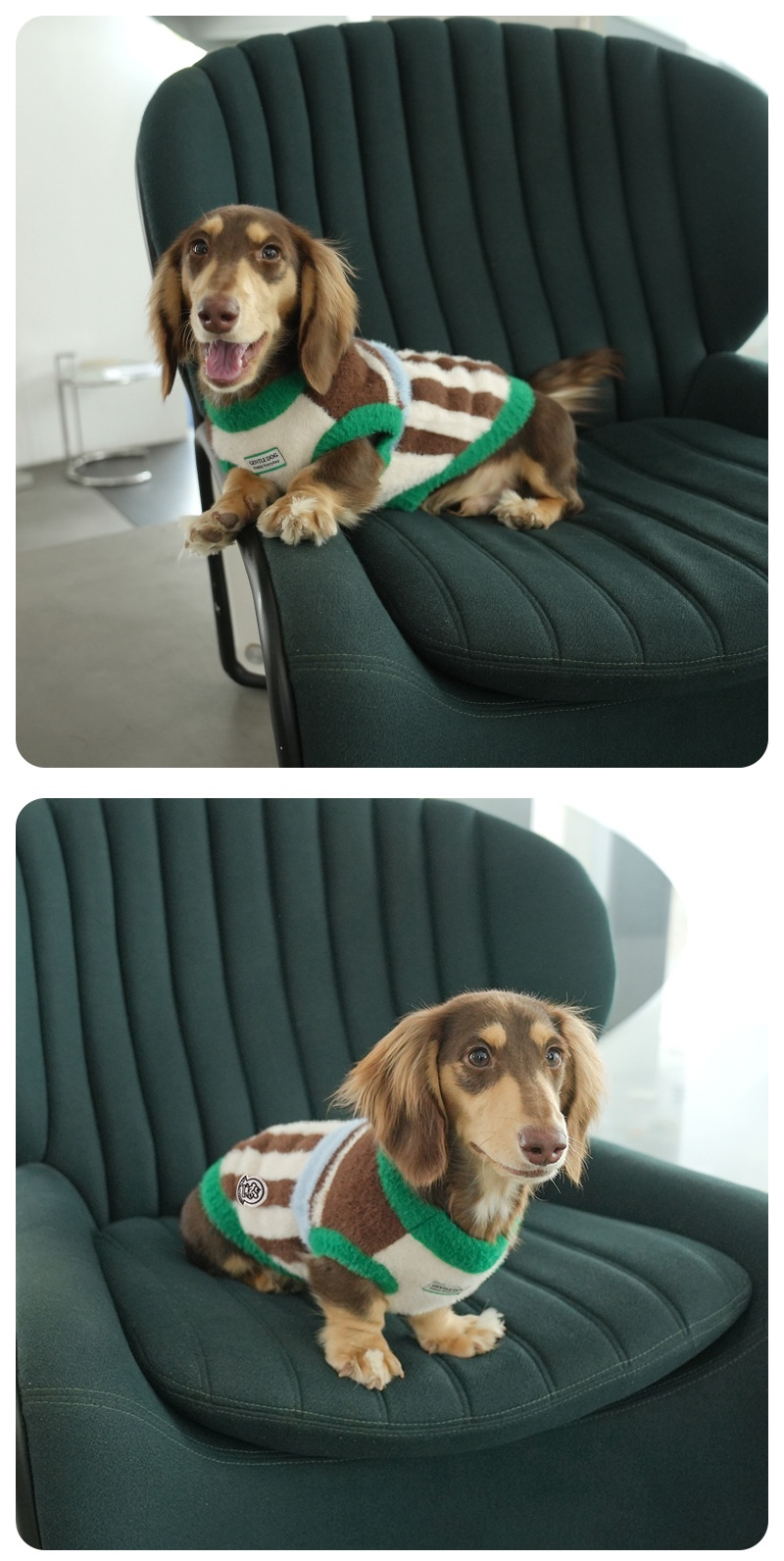 New Striped Knitted Dog Vest detail photo 5