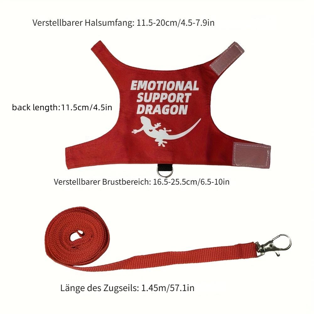 Lizard Harness And Leash Set, Pet Supplies For Reptiles, For Outdoor Use detail photo 5