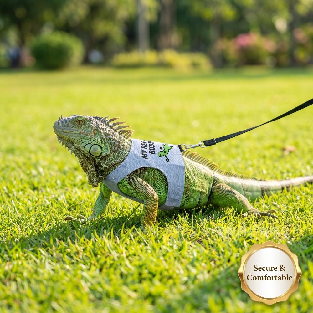 Lizard Harness And Leash Set, Pet Supplies For Reptiles, For Outdoor Use detail photo 1