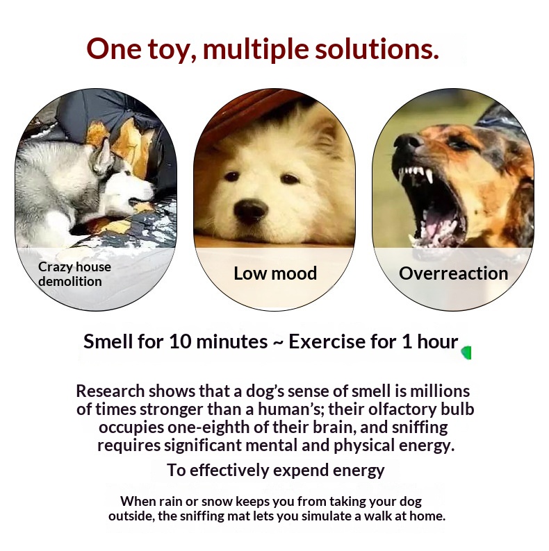 Pet Square Sniffing Mat Puzzle Toy detail photo 3