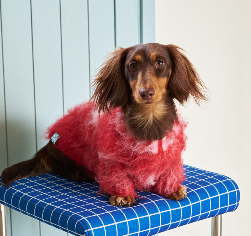 Camel-colored Long-haired Sweater For Cats And Dogs - Camel-colored Long-haired Sweater For Cats And Dogs Red 2 Yards