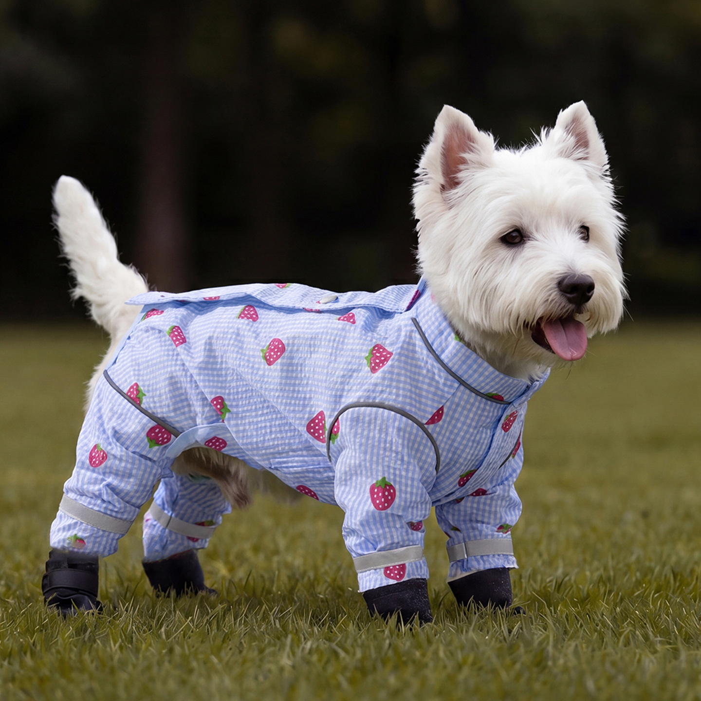 Outdoor Cover-up Pet Dog Clothing detail photo 5