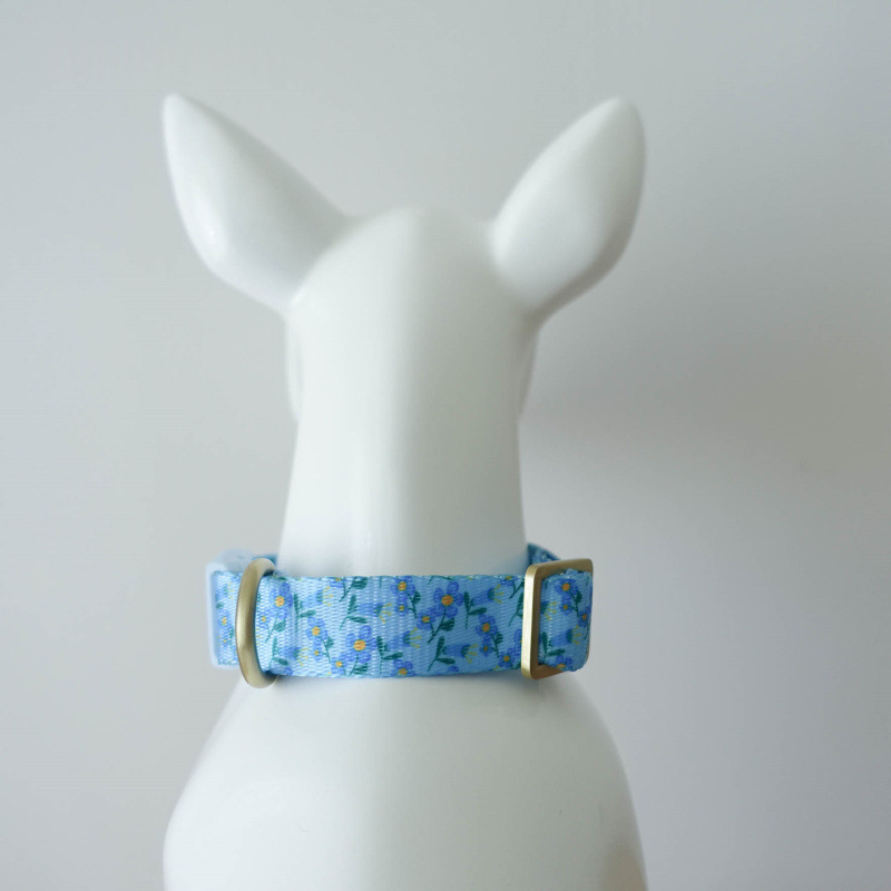Blue Plastic Buckle Lightweight Pet Collar — image 1